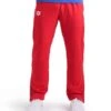 Arena Team Panel Pant