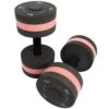 Rise Fitness Bar Bells